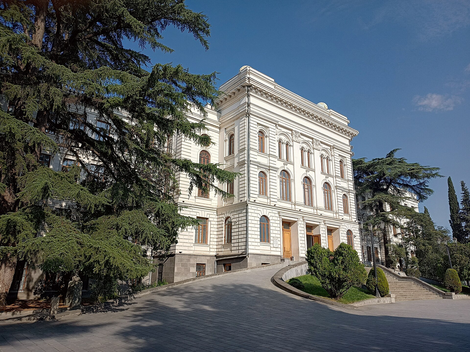 Tbilisi State University — youth and the education-to-work transition
